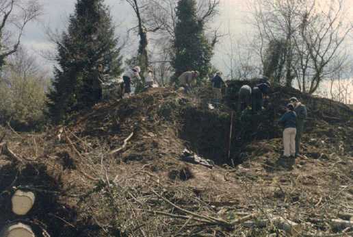 Tree covered mound